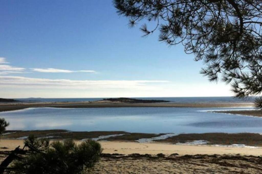 Maison Avec Jardin Clos. Animaux Acceptes - Wifi - Proche Plages De La Trinite Sur Mer Et Carnac Exteriér fotografie
