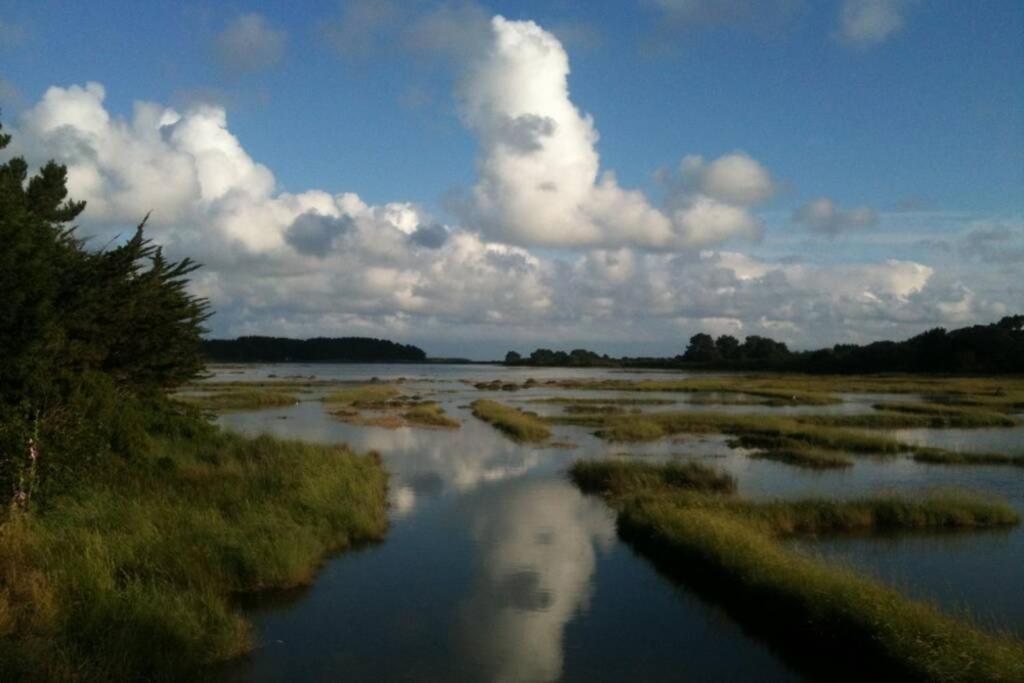 Maison Avec Jardin Clos. Animaux Acceptes - Wifi - Proche Plages De La Trinite Sur Mer Et Carnac Exteriér fotografie
